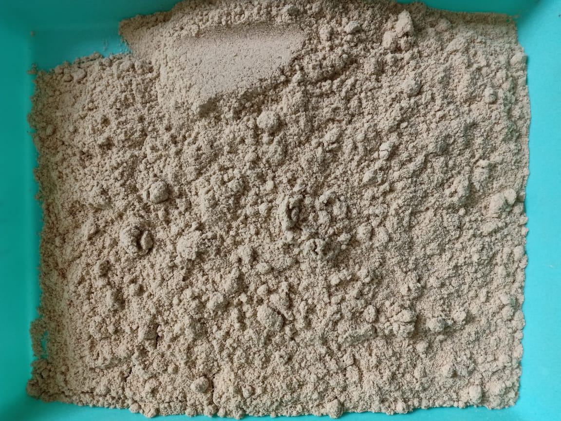 zo-th-1
